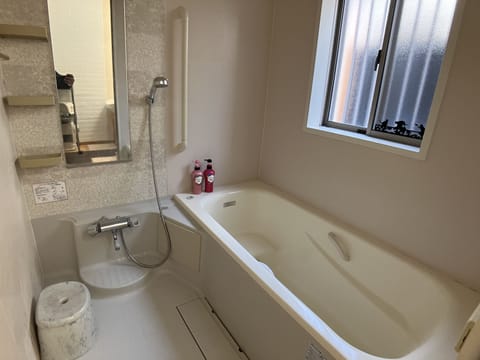 Shower, jetted tub, hair dryer, bidet