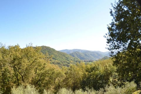 Surroundings [summer] (1-5 km)