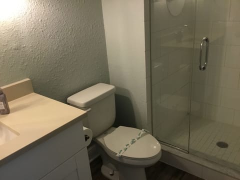 Combined shower/tub, hair dryer, towels