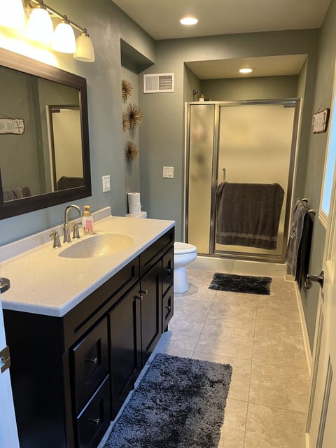 Downstairs bath with walk-in shower