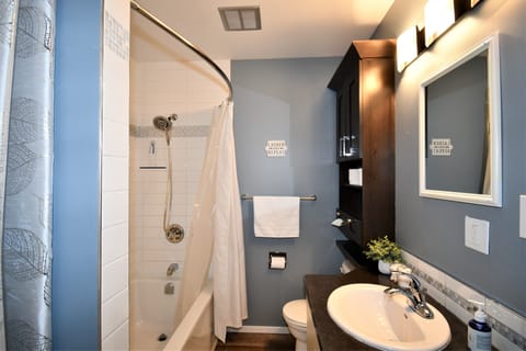 Combined shower/tub, hair dryer, towels, soap