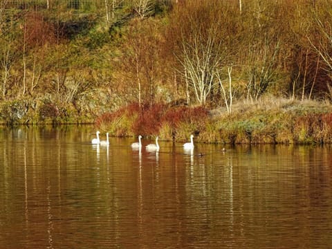 Surrounding area | 15 Glengoulandie Lodge, Glengoulandie, near Aberfeldy