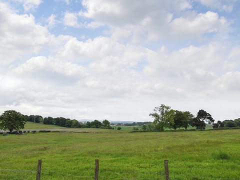 Surrounding area | The Wee White Cottage, Stirling