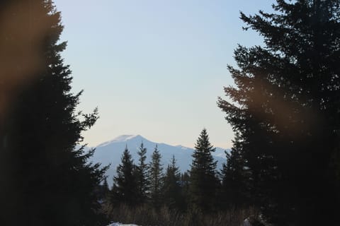 Beautiful view of Grace Ridge Mountain from the living room