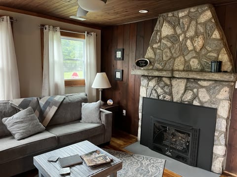 Living area | TV, fireplace, books