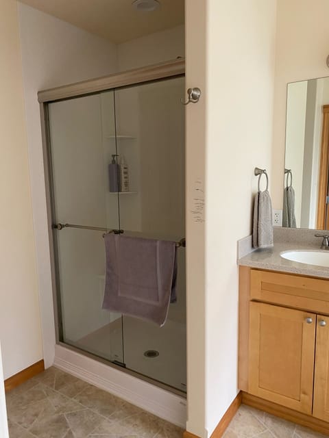 Combined shower/tub, jetted tub, hair dryer, towels