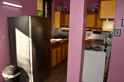 Fridge, oven, stovetop, coffee/tea maker