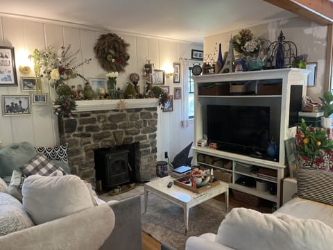 Cottage living room with European woodstove in converted fireplace and tv & dvd.