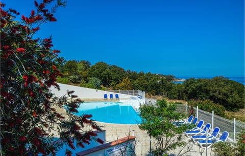 A heated pool, sun loungers