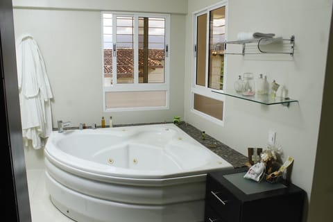 Bathtub, jetted tub, hair dryer, bidet