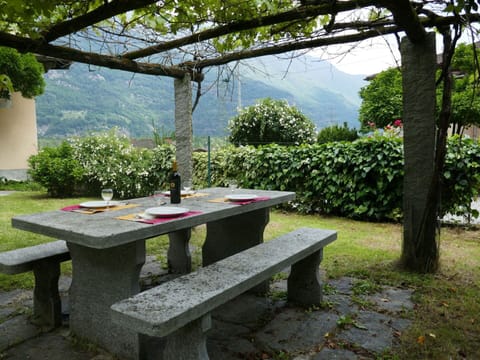 Plant, Table, Furniture, Property, Outdoor Bench, Shade, Natural Landscape, Outdoor Table, Tree, Outdoor Furniture