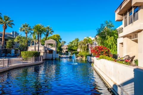 Extended patio, with cool lagoon setting under the palms