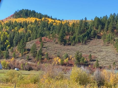 Cedar Woods Cabin on beautiful Star Valley Ranch | Star Valley Ranch ...