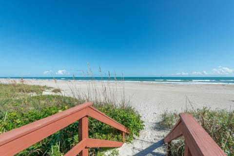 On the beach