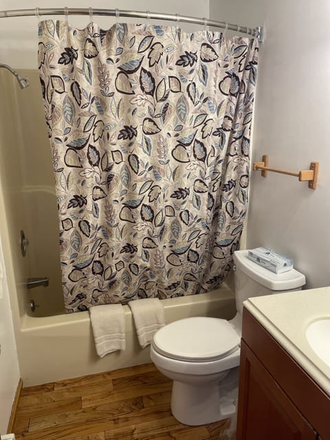 Combined shower/tub, hair dryer, towels, soap