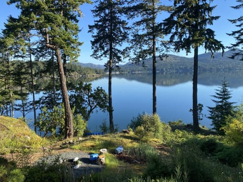 The view of the Sooke Basin