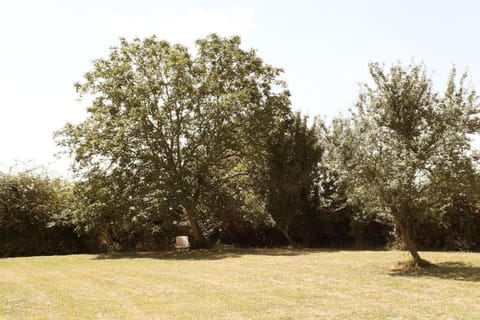 Region [summer] (&gt;5 km)