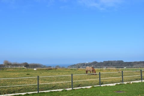View from Holiday Home [summer]
