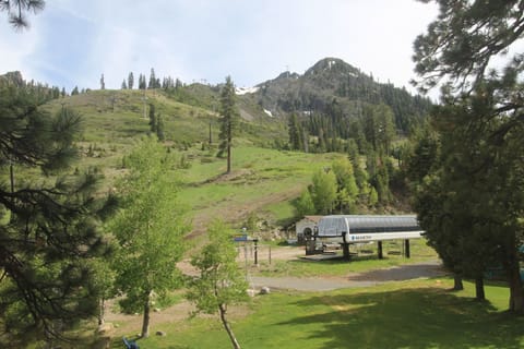 View from the Living Area windows
