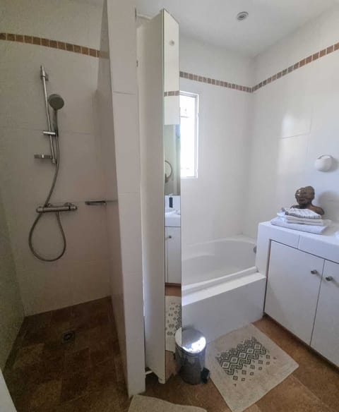 Combined shower/tub, hair dryer, towels, shampoo