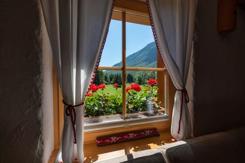 Window view