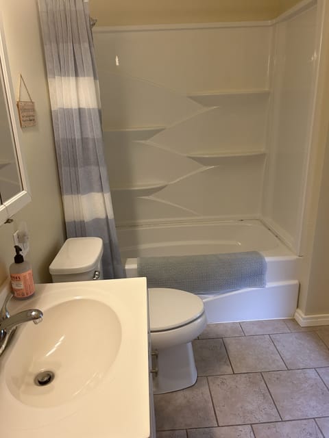 Combined shower/tub, hair dryer, towels, toilet paper