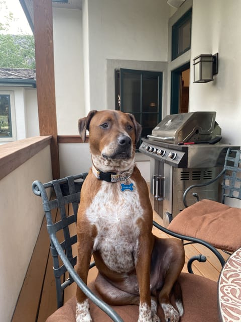 Small balcony with table, chairs and grill.