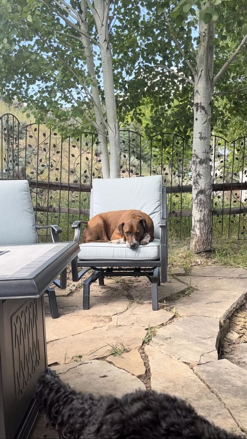 Back patio with gas fire pit.