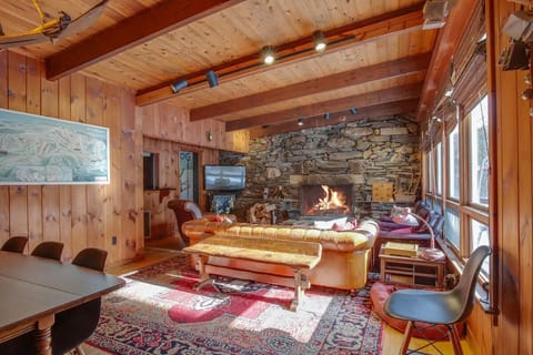 Living room | Smart TV, fireplace, books, music library