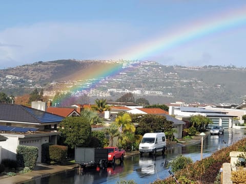 Niguel Shores Neighborhood