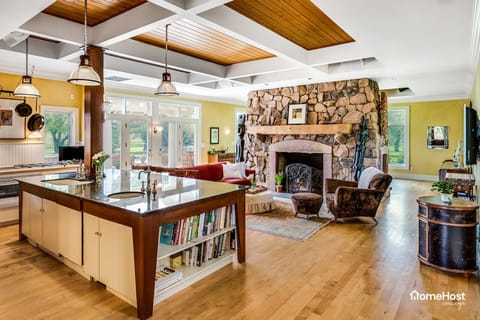 Kitchen island and fireplace