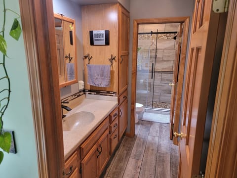 Combined shower/tub, jetted tub, hair dryer, towels