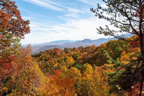 You won't need to leave the cabin in search of fall colors with this breathtaking view. Enjoy a peek-a-boo view of Gatlinburg's city lights that opens up as the leaves fall. Less that 10 minutes to Gatlinburg, Ober and GSM National Park entrance.