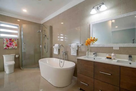 Combined shower/tub, hair dryer, towels, soap