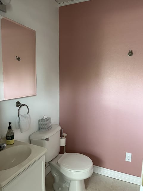 Combined shower/tub, hair dryer, towels, toilet paper