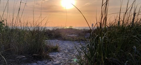 Beach nearby