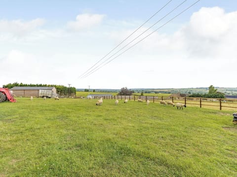 Surrounding area | Daisy’s Rest - Quarry Hill Farm, Shipton-Under-Wychwood