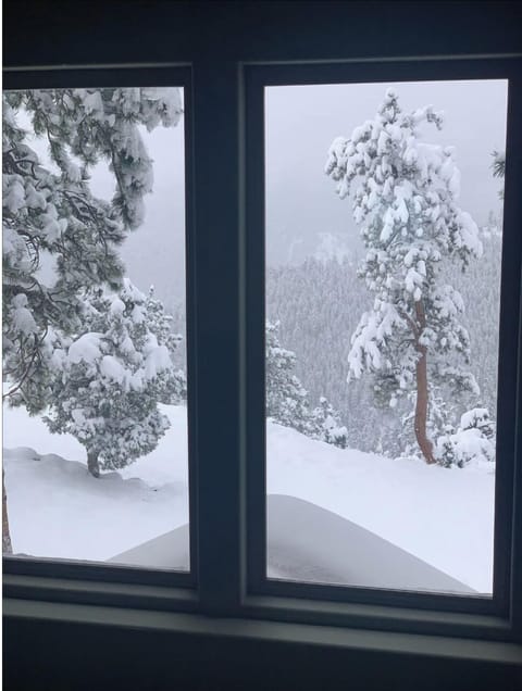 Evergreens fill the mountains, snow quickly turns into winter wonderland!