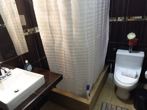 Combined shower/tub, hair dryer, towels, soap