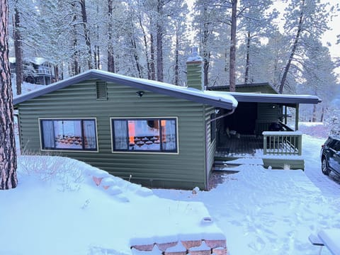 Cabin in the winter