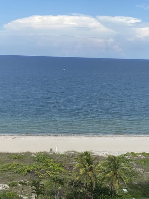 Beach | Beach nearby, sun loungers, beach towels