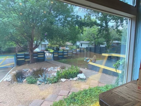 View from large front window into front yard..1 way privacy tint on all windows in front of house for complete privacy with shades open during the day.  Enjoy ALL the natural light!