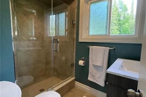 Combined shower/tub, hair dryer, bidet, towels