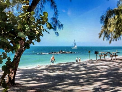 Sun loungers, beach towels