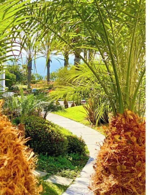 Prtl OCEAN VIEW master patio/bedroom.