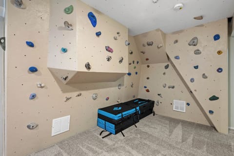Custom climbing wall in basement.