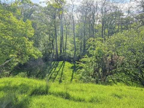 Surrounding area | Bogrie Country Cottage, Annan, Dumfries