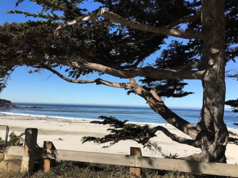 Beach nearby, beach towels