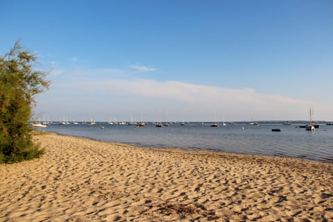 On the beach