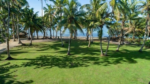 On the beach, sun loungers, beach towels